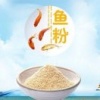 中渔(天津)贸易有限公司的一亩田店铺