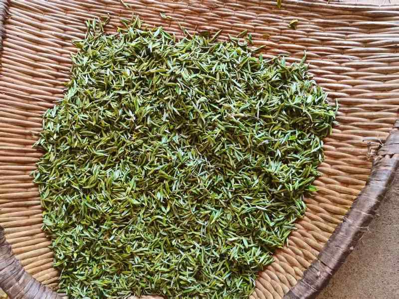 绿茶