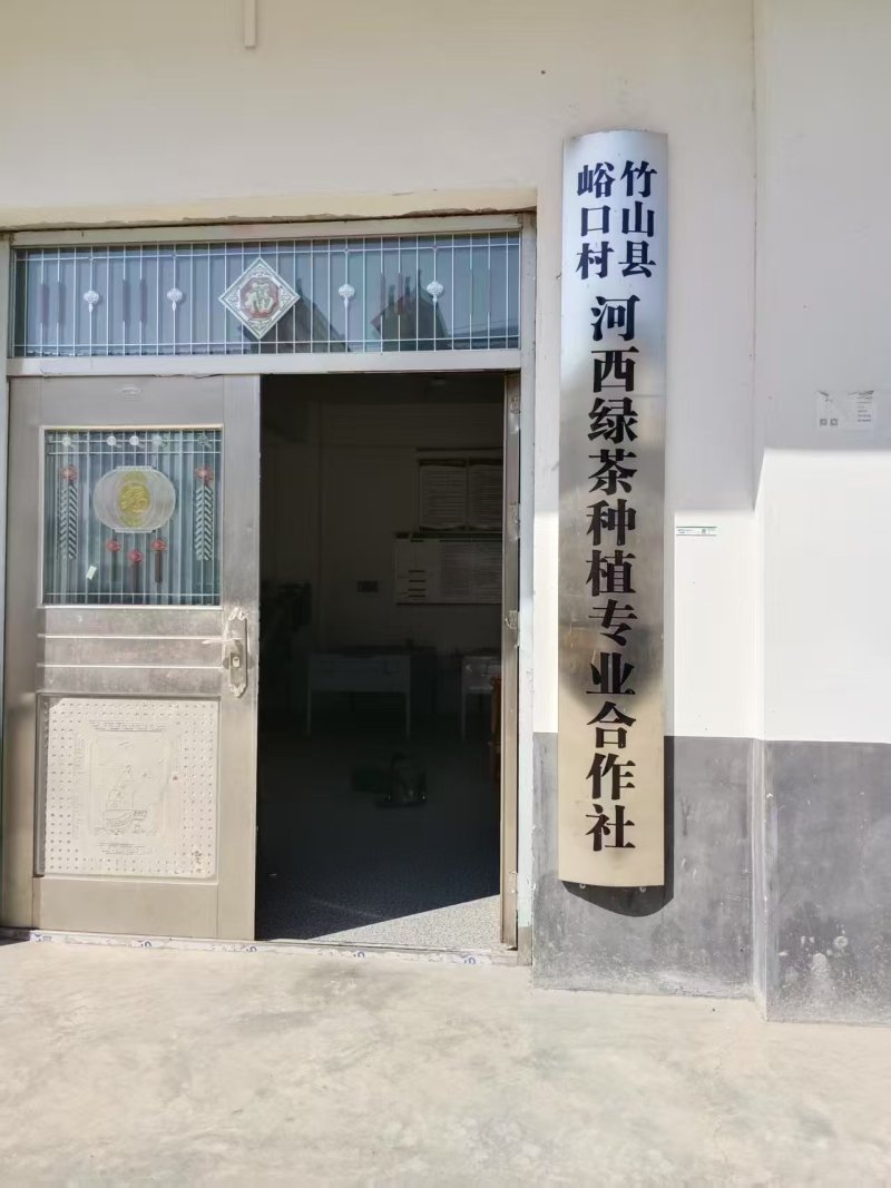 绿茶