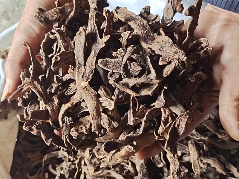 骨碎补一手货源货量大按需求分拣加工打包各个等级各种干度