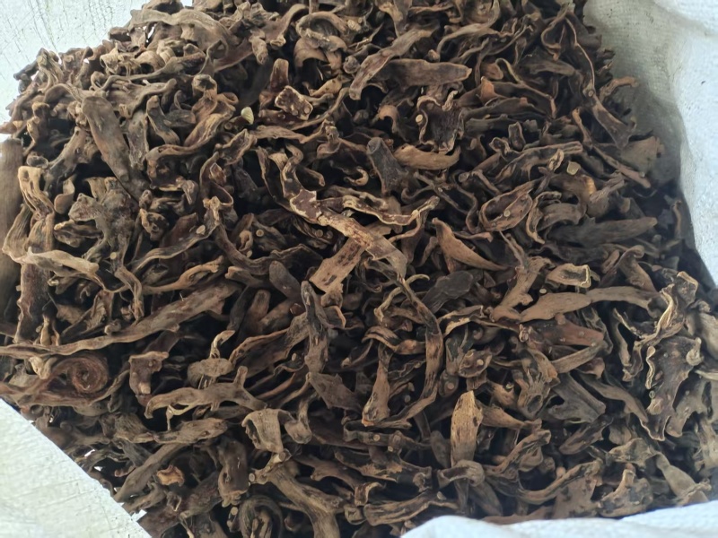 骨碎补一手货源货量大按需求分拣加工打包各个等级各种干度