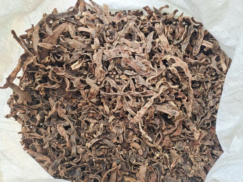 骨碎补一手货源货量大按需求分拣加工打包各个等级各种干度