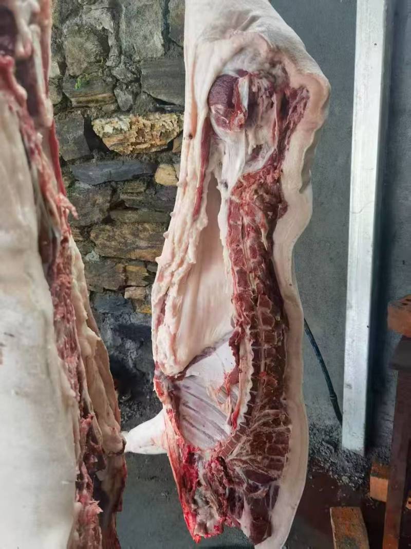 跑山黑猪肉基地直销货源充足量大质优价格优惠一手货源