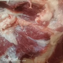 【热卖】散养猪猪排骨基地直销欢迎各大老板采购