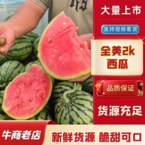 精品2k小吊瓜，L60全美小西瓜，支持各类商超，电商平台