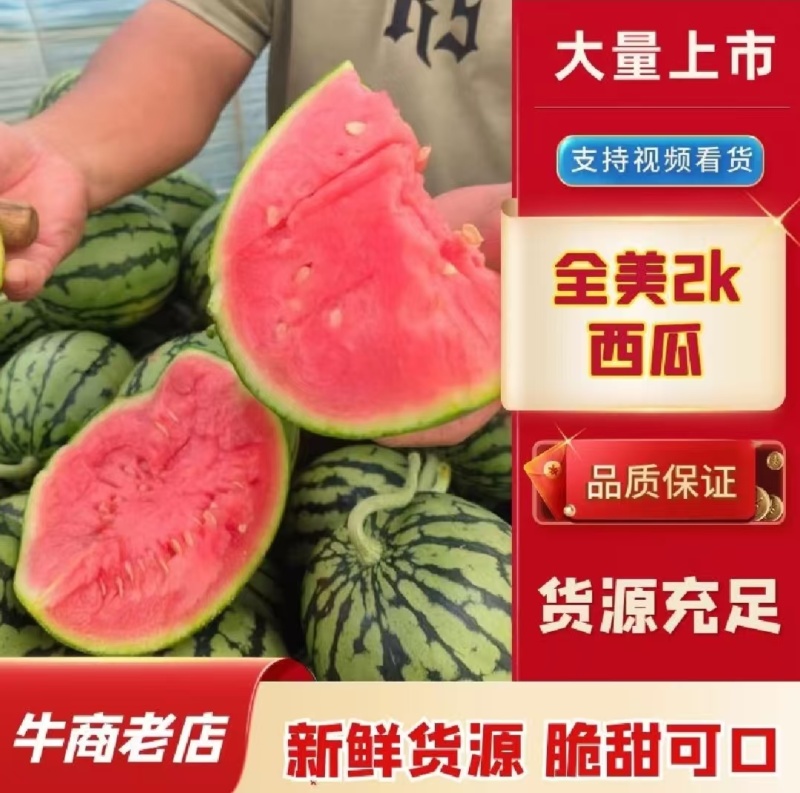精品2k小吊瓜，L60全美小西瓜，支持各类商超，电商平台