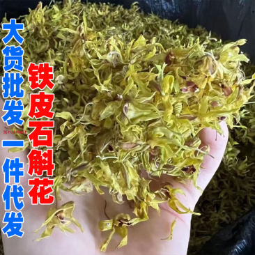 铁皮石斛花石斛花产地货源