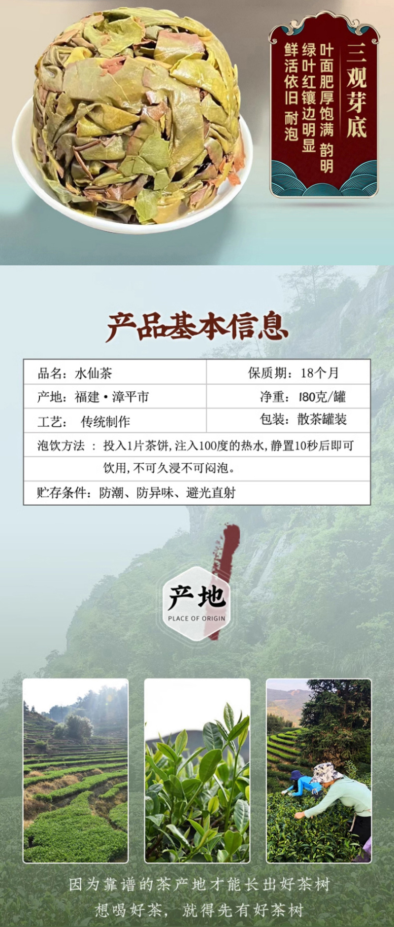 漳平水仙春茶叶兰花香清香型手工茶饼醇香回甘360g