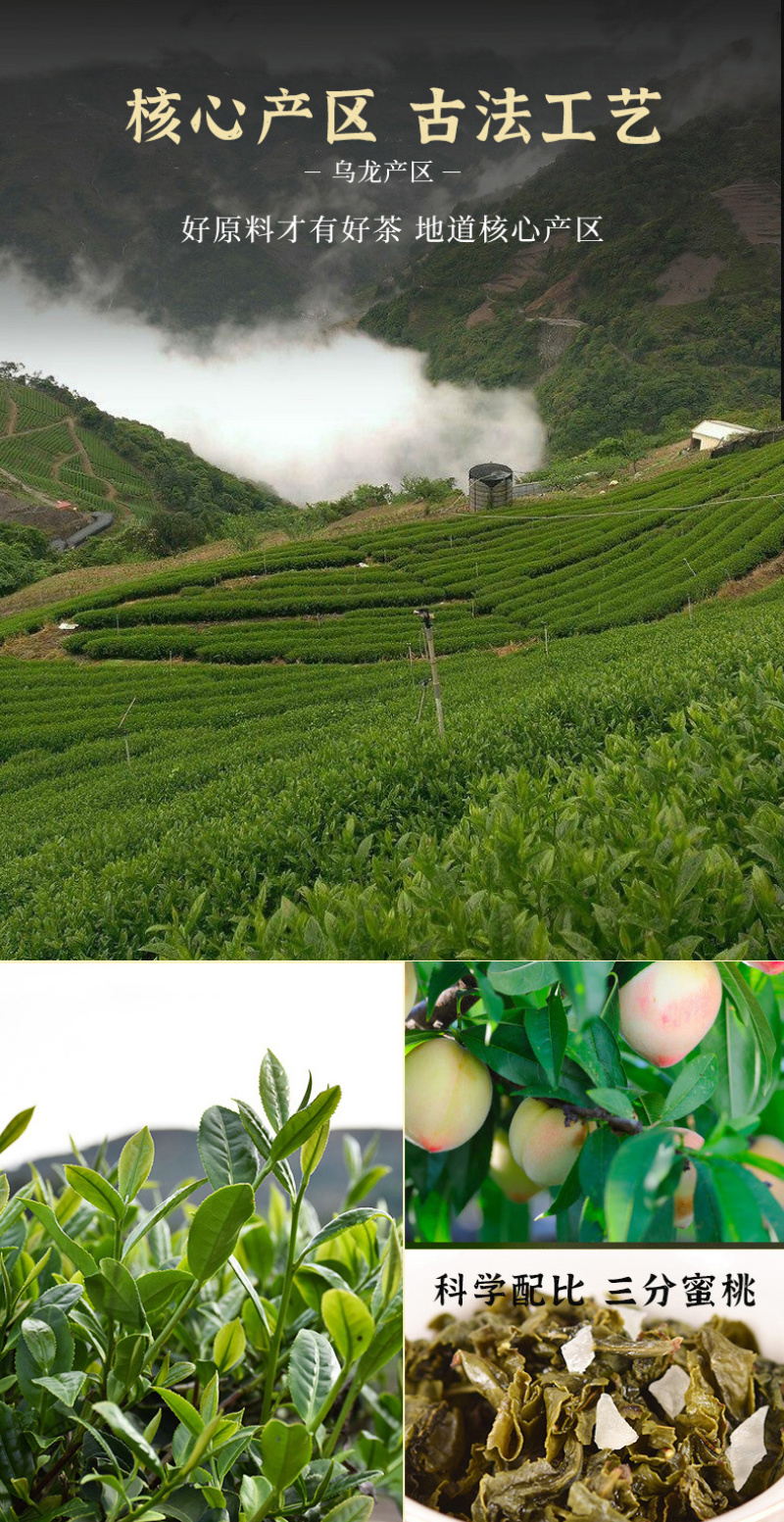 蜜桃乌龙茶白桃乌龙冷泡茶新茶罐装500g