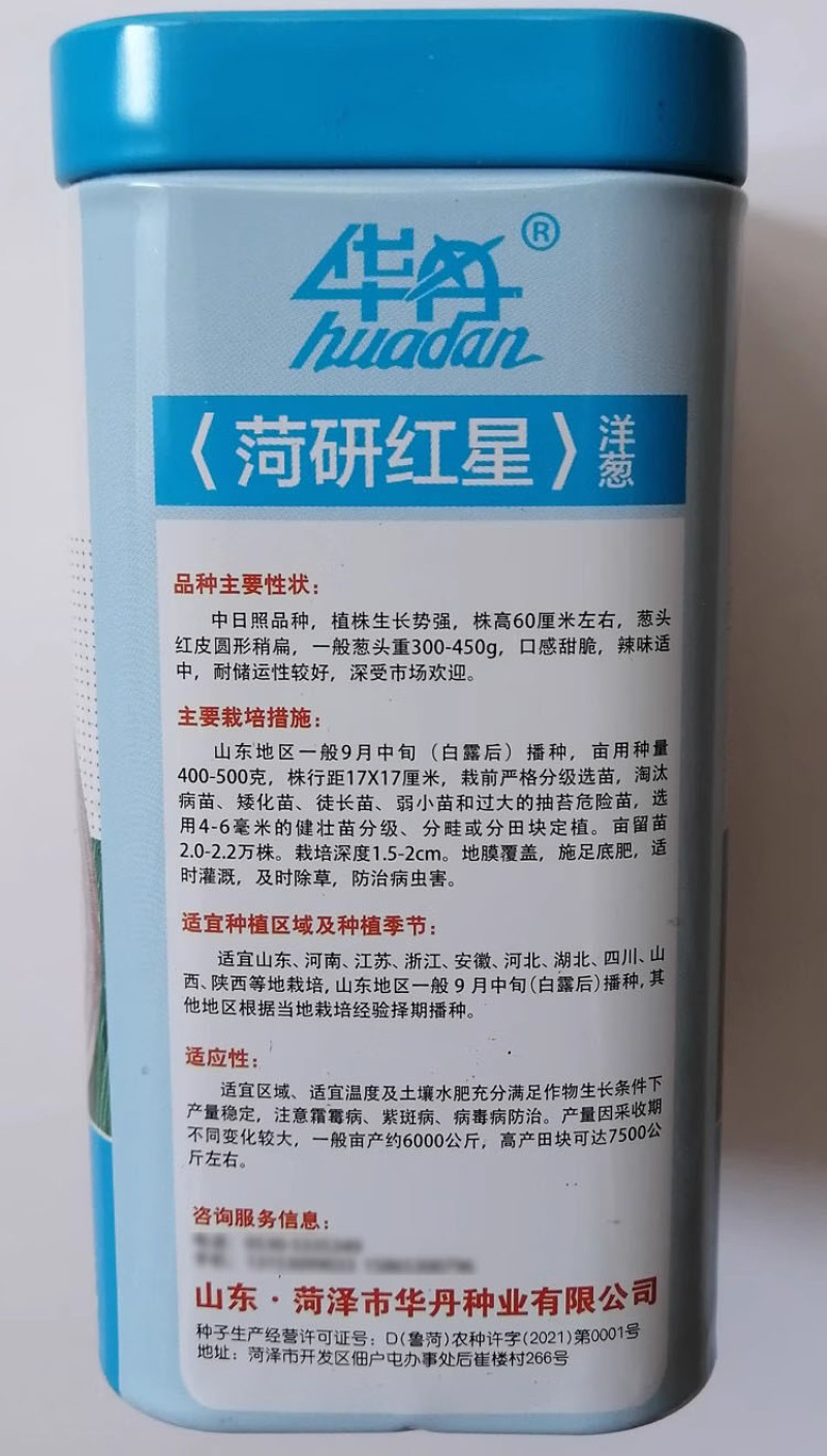 菏研红星洋葱种子中日照品种红皮圆头口感甜脆辣味适中