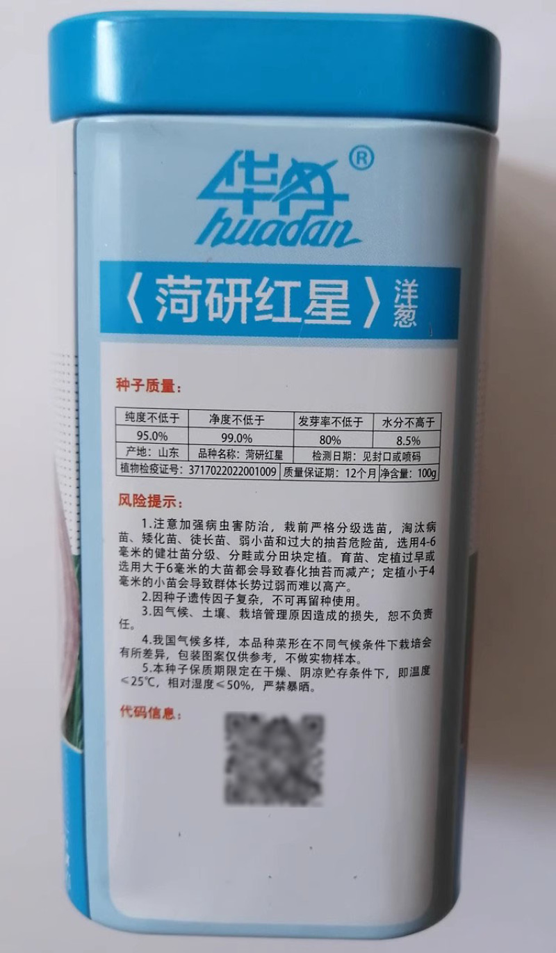 菏研红星洋葱种子中日照品种红皮圆头口感甜脆辣味适中