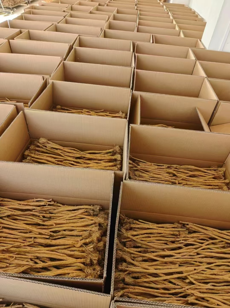甘肃定西防风，品质保证货源保证，产地直发，量大从优