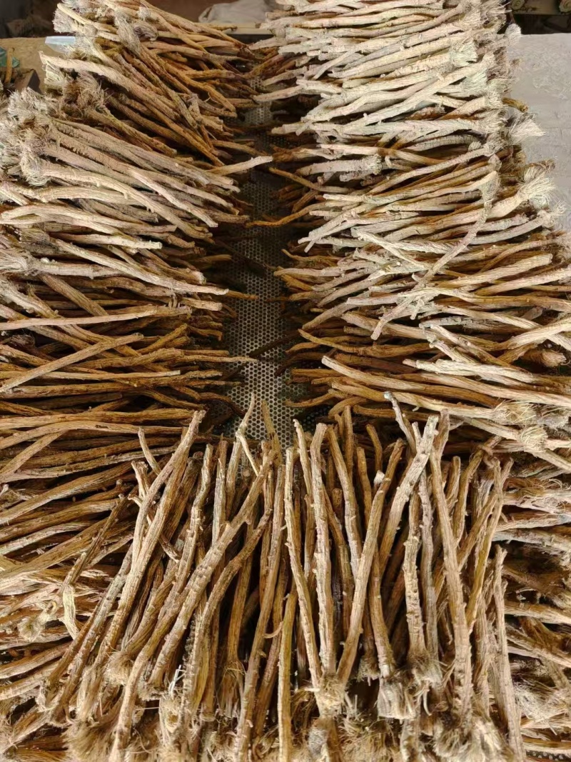 甘肃定西防风，品质保证货源保证，产地直发，量大从优