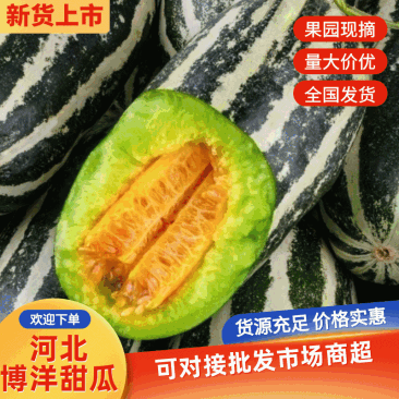 河北博洋九博洋91大量现货供应品种多样一手货源代发