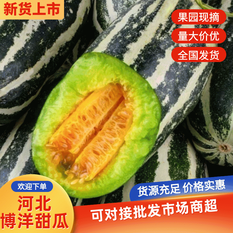 河北博洋九博洋91大量现货供应品种多样一手货源代发