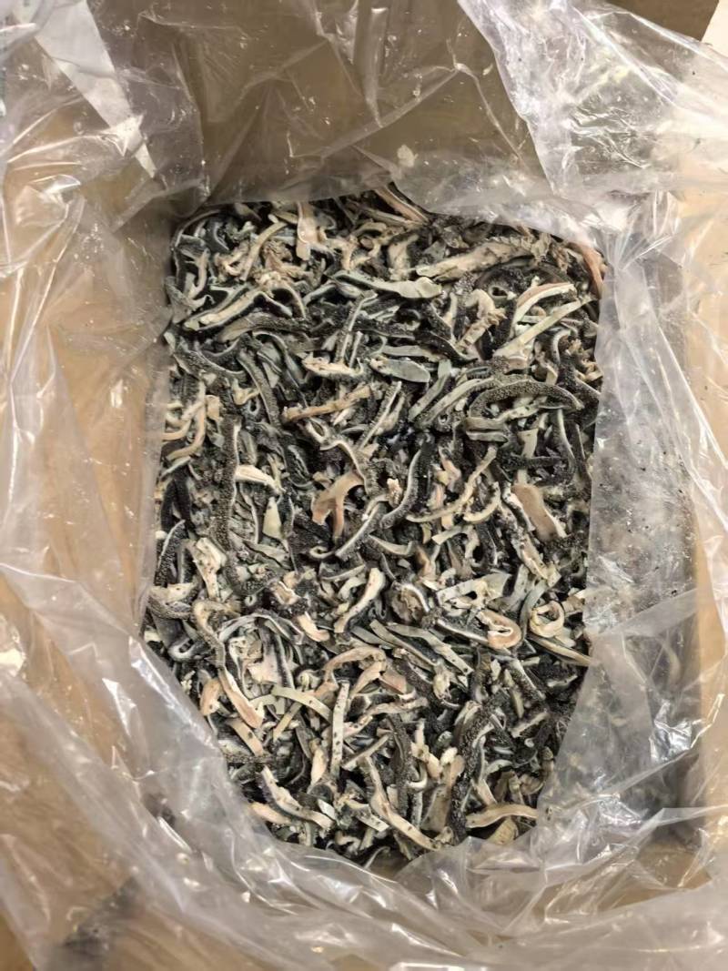 生羊毛肚