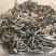 生羊毛肚