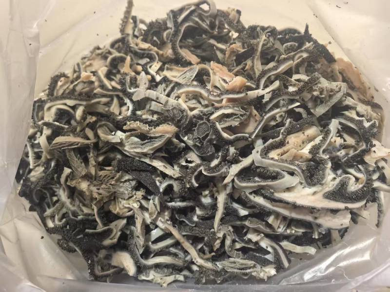 生羊毛肚