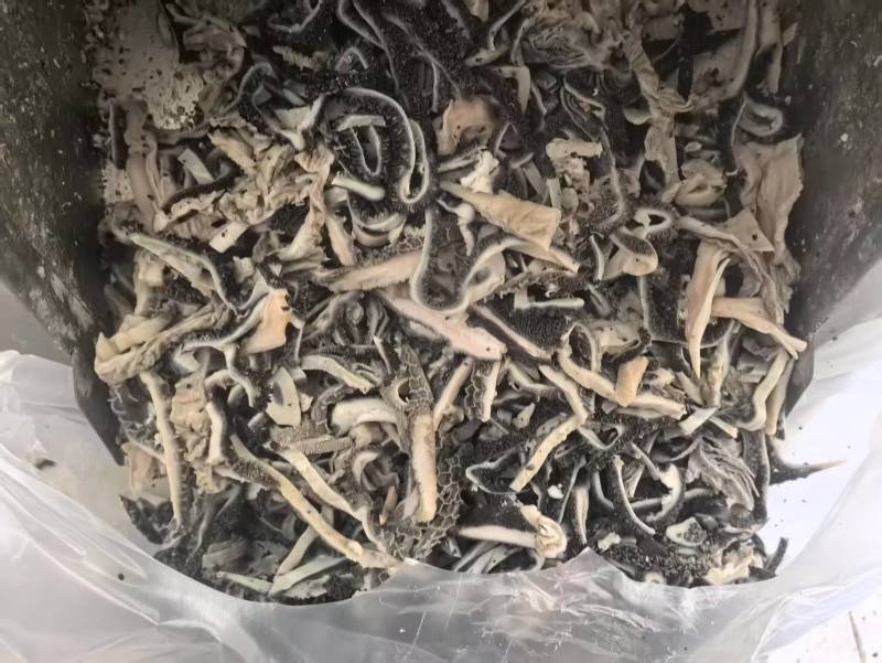 生羊毛肚