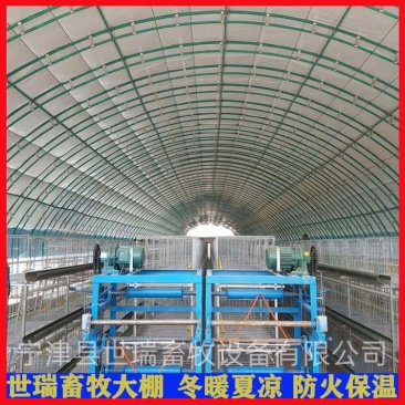 养鸡大棚建设肉鸡养殖大棚搭建鸡舍大棚安装厂家