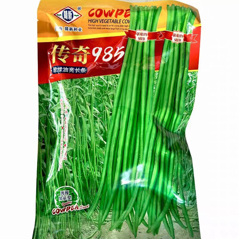 传奇985豆角种子翠绿油亮长条豇豆籽赣新种业肉厚