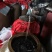 纯粮酿酒白酒口感香醇无勾兑诚信经营保质保量