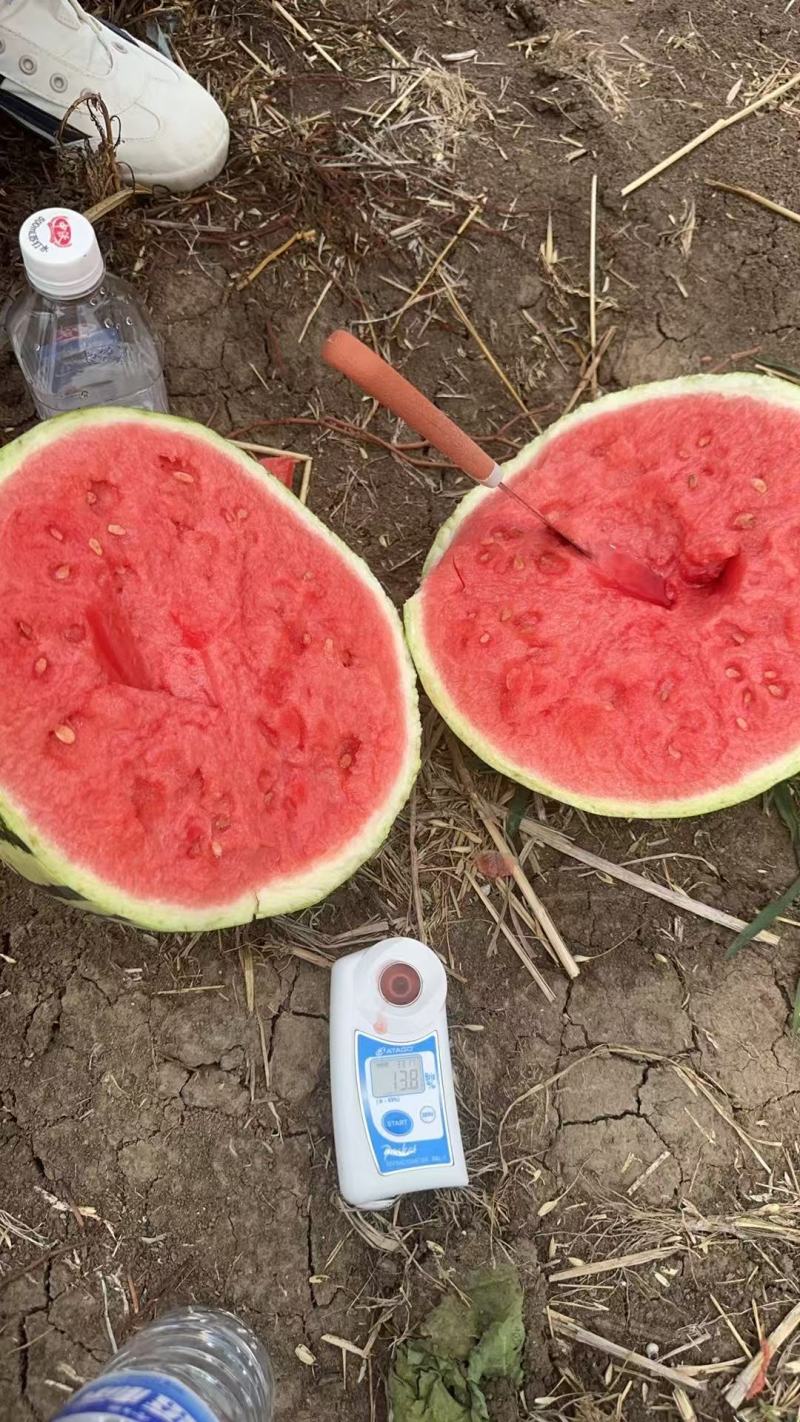 精品麒麟西瓜无籽美都，全国供货，保质保量，可视频看货