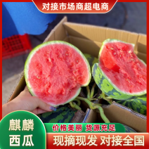 安徽麒麟西瓜皮薄多汁基地直发提供一条龙服务