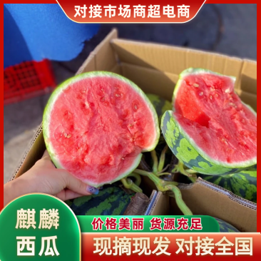安徽麒麟西瓜皮薄多汁基地直发提供一条龙服务
