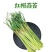 新鲜蒜薹，大量上市，供各大市场电商平台大型超市