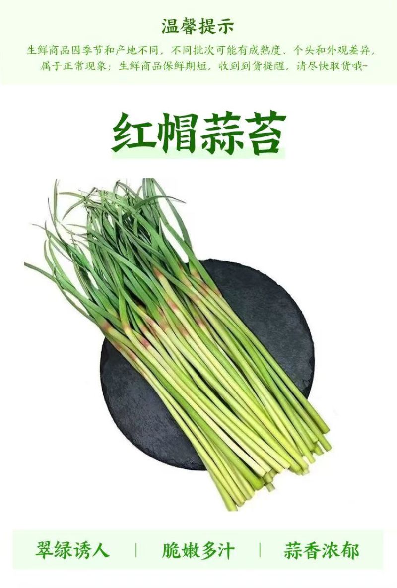 新鲜蒜薹，大量上市，供各大市场电商平台大型超市