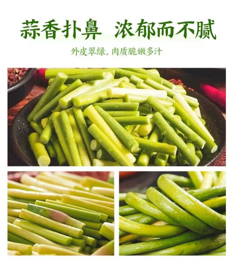 新鲜蒜薹，大量上市，供各大市场电商平台大型超市