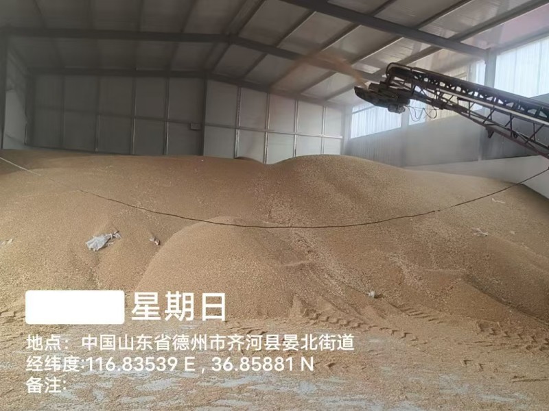 富硒小麦大量供应，货源充足，量大从优，欢迎咨询