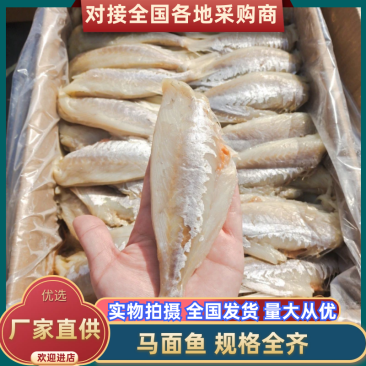 马面鱼麦香鱼，去皮去头去内脏，没有碎刺，都是蒜瓣肉
