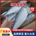 山东咸鱼白磷鱼咸鱼煎炸蒸均可肉质鲜美品质保证