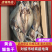 鲅鱼干黄金鲅鱼干开背去内脏产地直发无中间商品质保证