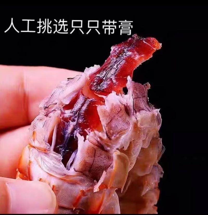 皮皮虾适合餐饮批发量大从优欢迎客户来电咨询下单