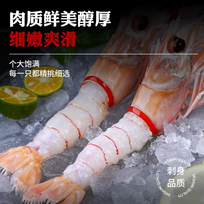 刺身海鳌虾，餐饮日料生腌刺身虾，摆盘，商用，海鲜自助餐