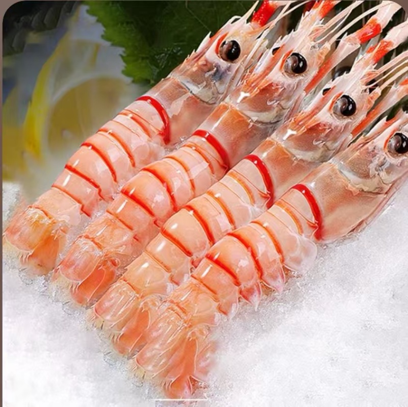 刺身海鳌虾，餐饮日料生腌刺身虾，摆盘，商用，海鲜自助餐