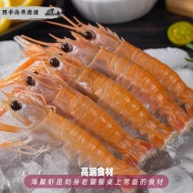 刺身海鳌虾，餐饮日料生腌刺身虾，摆盘，商用，海鲜自助餐
