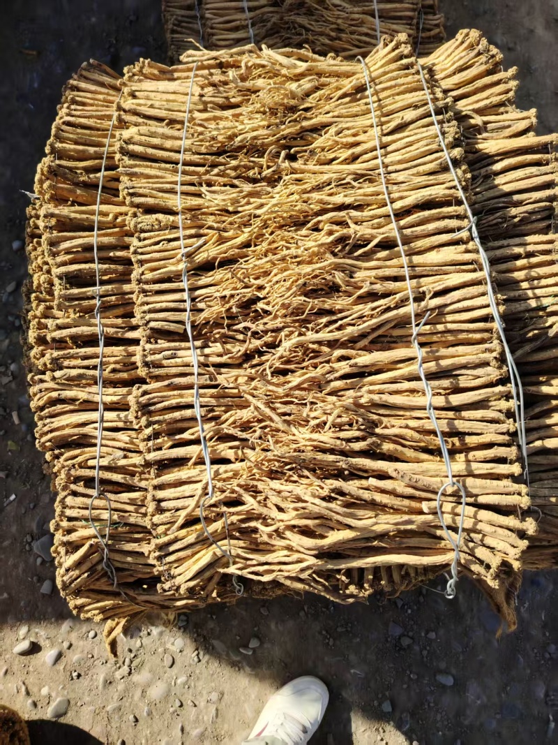 甘薯定西岷县人工种稙党参，大量上市，欢迎全国采购商致电