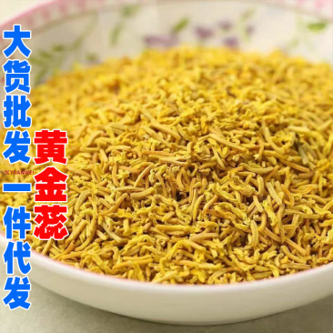 牡丹花蕊金花蕊黄金蕊产地货源大货批发