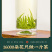 新茶茉莉花茶叶浓香型茉莉花飘雪散装横县花茶500g