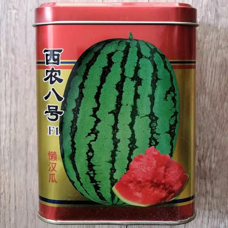 西农八号懒汉瓜种子大果型西瓜种子抗病耐重茬