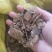花生饼，胡麻饼，厂家直供，养殖用蛋白20以上有机质60