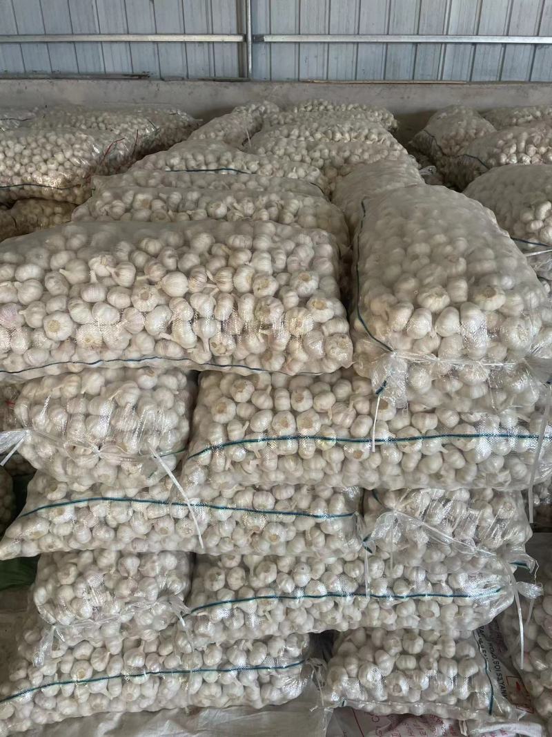 [邳州大蒜]精品紫皮大蒜承接批发加工电商进出口代办全国发货