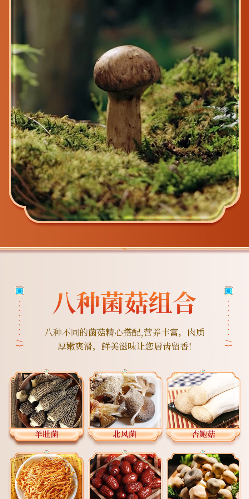 野生菌汤包松茸菌汤包天麻菌汤包品种规格齐全厂家直发量大