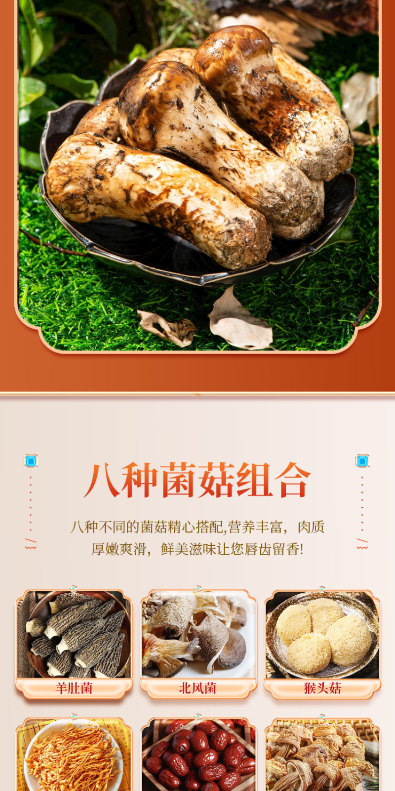 野生菌汤包松茸菌汤包天麻菌汤包品种规格齐全厂家直发量大
