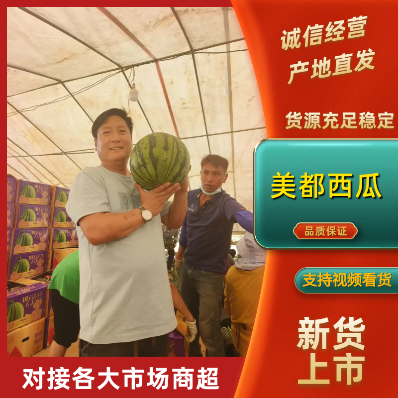 对接全国市场量大从优云南美都西瓜清甜可口量大从优欢迎采购