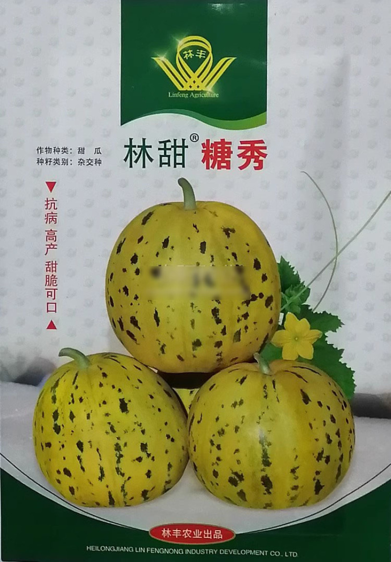 林甜糖秀甜瓜种子甜脆可口高品质花皮甜瓜品种绿瓤绿肉